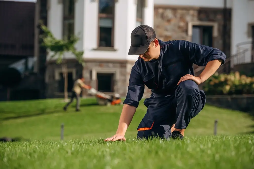 Jak dbać o trawnik? Sprawdzone metody na zielony dywan w ogrodzie