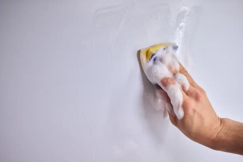 Grzyb na ścianie – jak się go pozbyć?
